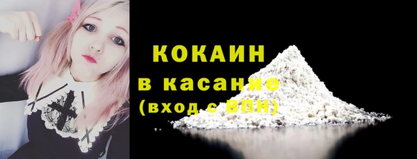 индика Нефтегорск