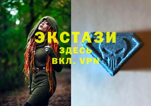 индика Нефтегорск