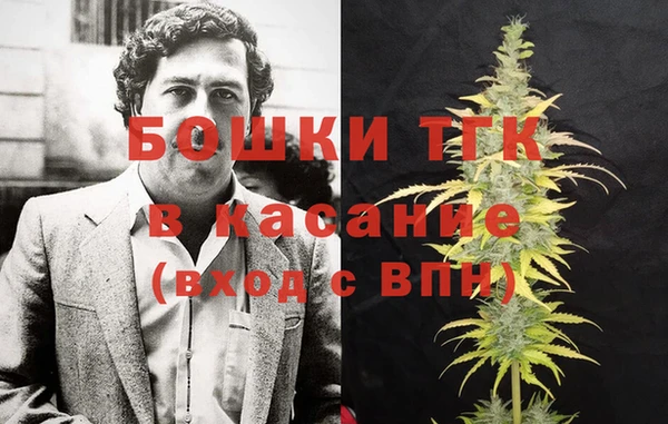 индика Нефтегорск